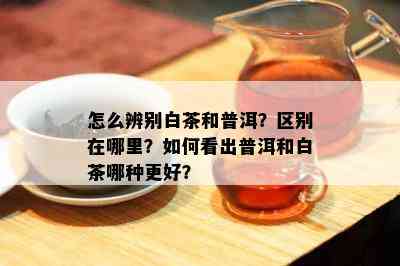 怎么辨别白茶和普洱？区别在哪里？如何看出普洱和白茶哪种更好？