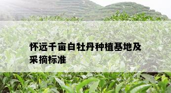 怀远千亩白牡丹种植基地及采摘标准