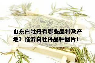 山东白牡丹有哪些品种及产地？临沂白牡丹品种图片！