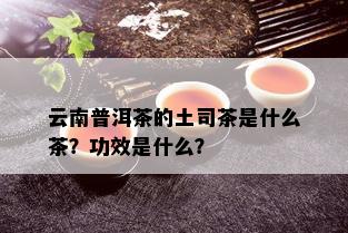 云南普洱茶的土司茶是什么茶？功效是什么？