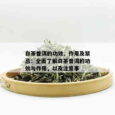 白茶普洱的功效、作用及禁忌：全面了解白茶普洱的功效与作用，以及注意事