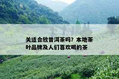 关适合放普洱茶吗？本地茶叶品牌及人们喜欢喝的茶