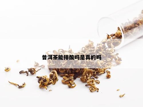 普洱茶能排酸吗是真的吗