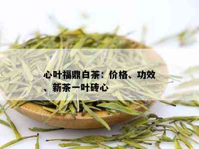 心叶福鼎白茶：价格、功效、新茶一叶砖心