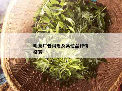 明茶厂普洱眉及其他品种价格表