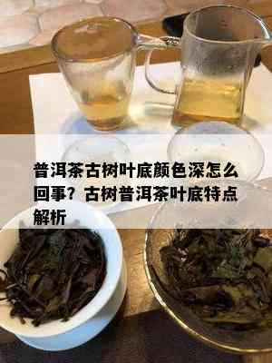 普洱茶古树叶底颜色深怎么回事？古树普洱茶叶底特点解析