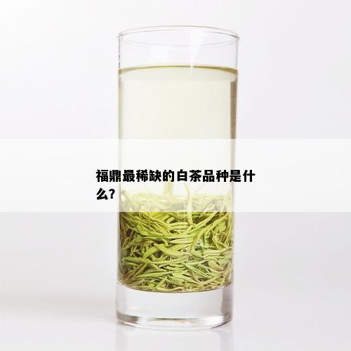 福鼎最稀缺的白茶品种是什么？