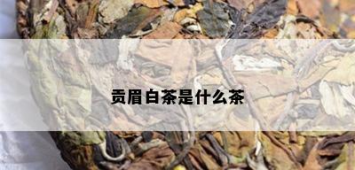 贡眉白茶是什么茶