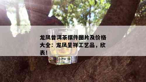 龙凤普洱茶摆件图片及价格大全：龙凤呈祥工艺品，欣表！