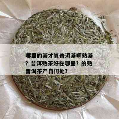 哪里的茶才算普洱茶啊熟茶？普洱熟茶好在哪里？的熟普洱茶产自何处？