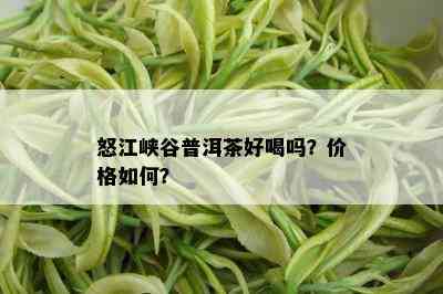 怒江峡谷普洱茶好喝吗？价格如何？