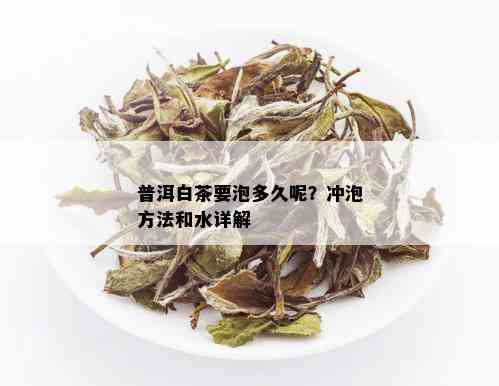 普洱白茶要泡多久呢？冲泡方法和水详解