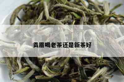 贡眉喝老茶还是新茶好