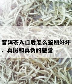 普洱茶入口后怎么鉴别好坏、真假和真伪的感觉