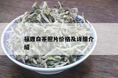 福鼎白茶照片价格及详细介绍