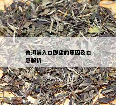 普洱茶入口即甜的原因及口感解析