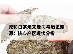 政和白茶未来走向与历史渊源：核心产区现状分析