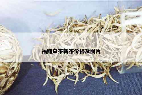 福鼎白茶新茶价格及图片