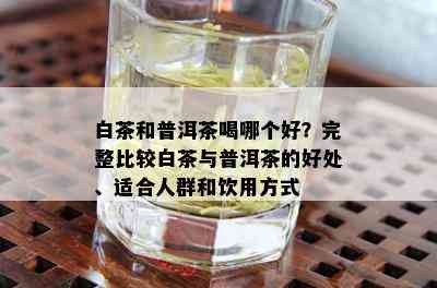 白茶和普洱茶喝哪个好？完整比较白茶与普洱茶的好处、适合人群和饮用方式