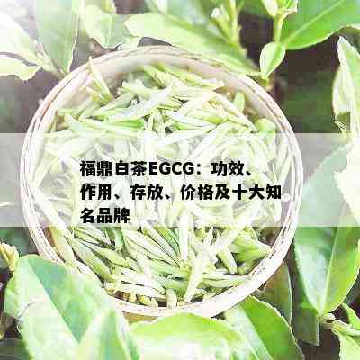 福鼎白茶EGCG：功效、作用、存放、价格及十大知名品牌