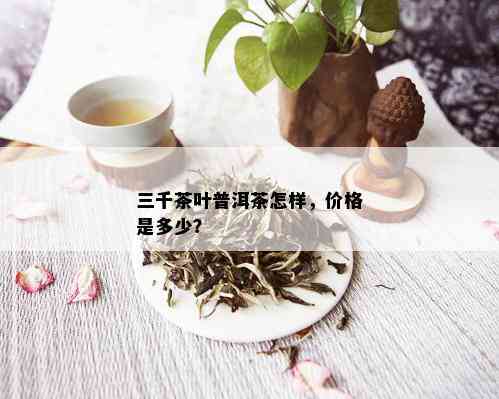 三千茶叶普洱茶怎样，价格是多少？