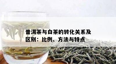 普洱茶与白茶的转化关系及区别：比例、方法与特点