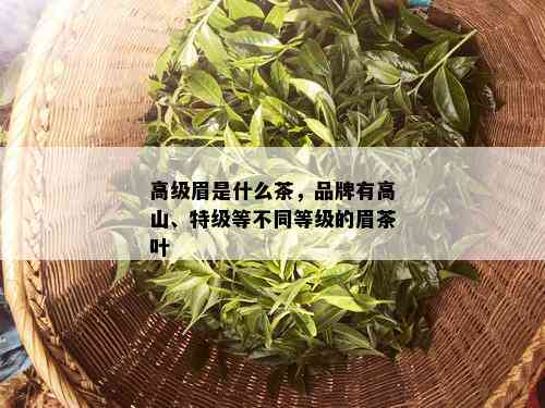 高级眉是什么茶，品牌有高山、特级等不同等级的眉茶叶