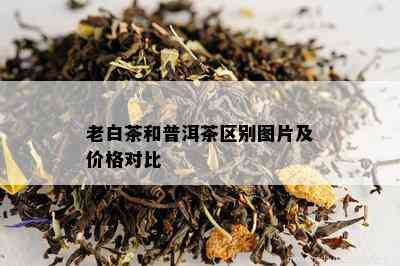 老白茶和普洱茶区别图片及价格对比