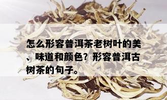 怎么形容普洱茶老树叶的美、味道和颜色？形容普洱古树茶的句子。