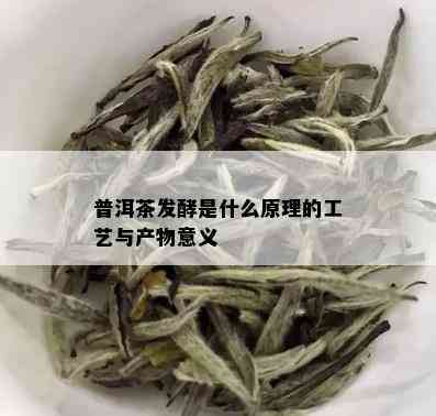 普洱茶发酵是什么原理的工艺与产物意义