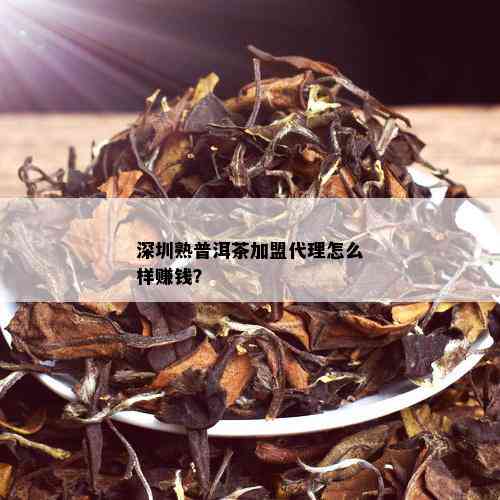 深圳熟普洱茶加盟代理怎么样赚钱？