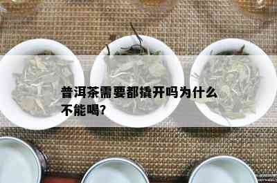 普洱茶需要都撬开吗为什么不能喝？