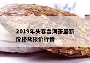 2019年头春普洱茶最新价格及报价行情