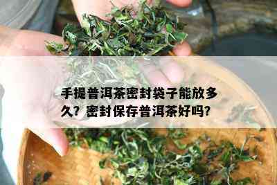 手提普洱茶密封袋子能放多久？密封保存普洱茶好吗？