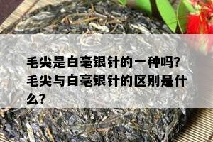 毛尖是白毫银针的一种吗？毛尖与白毫银针的区别是什么？