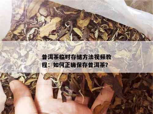 普洱茶临时存储方法视频教程：如何正确保存普洱茶？