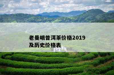 老曼峨普洱茶价格2019及历史价格表