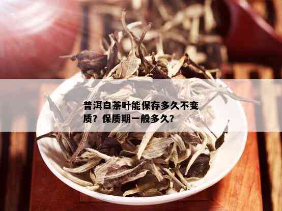 普洱白茶叶能保存多久不变质？保质期一般多久？