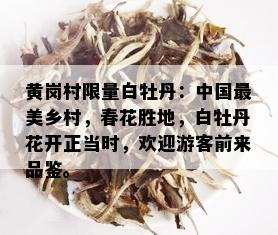 黄岗村 *** 白牡丹：中国最美乡村，春花胜地，白牡丹花开正当时，欢迎游客前来品鉴。