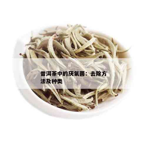 普洱茶中的厌氧菌：去除方法及种类