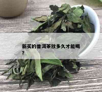 新买的普洱茶放多久才能喝？