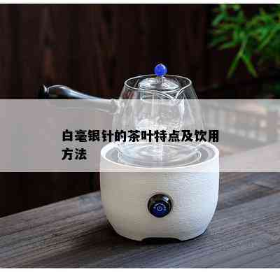 白毫银针的茶叶特点及饮用方法