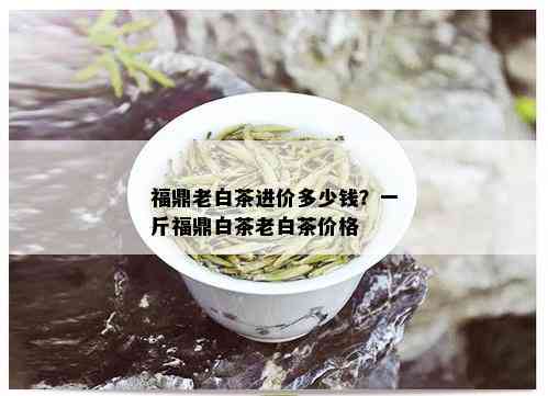 福鼎老白茶进价多少钱？一斤福鼎白茶老白茶价格