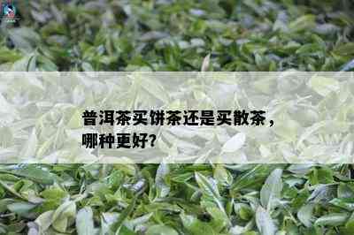 普洱茶买饼茶还是买散茶，哪种更好？