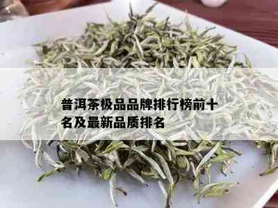 普洱茶极品品牌排行榜前十名及最新品质排名