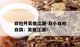 白牡丹笑傲江湖-白小白对白鸽：笑傲江湖！