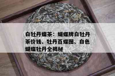 白牡丹蝶茶：蝴蝶牌白牡丹茶价钱、牡丹百蝶图、白色蝴蝶牡丹全揭秘