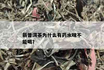 新普洱茶为什么有水味不能喝？