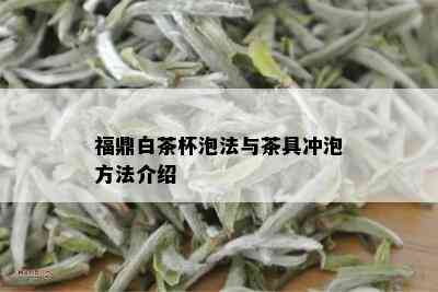 福鼎白茶杯泡法与茶具冲泡方法介绍