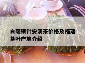 白毫银针安溪茶价格及福建茶叶产地介绍